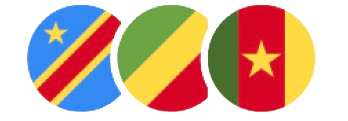 Drapeaux Congo, Gabon, Cameroun